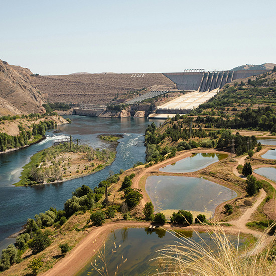 Design and Dam construction